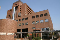 ikasika