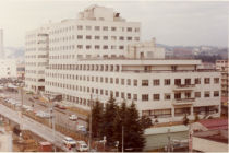 touhoku